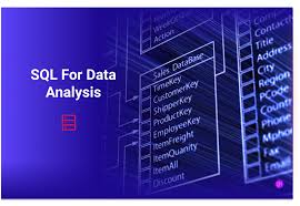 SQL Data Analysis